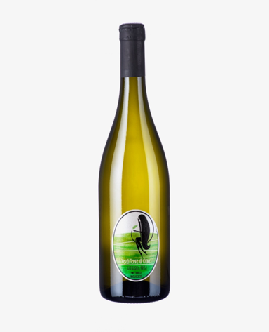 VINO BIANCO TREDICESIMA PRESA